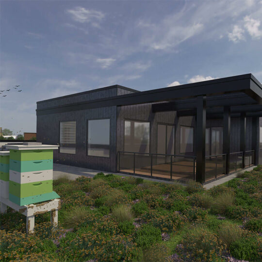 Intersect Apartment Rooftop Bees